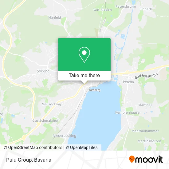 Puiu Group map