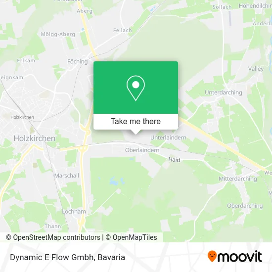 Dynamic E Flow Gmbh map