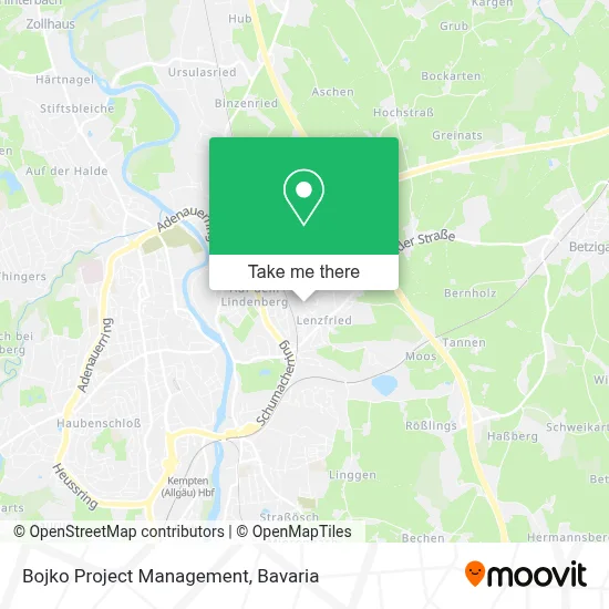 Bojko Project Management map