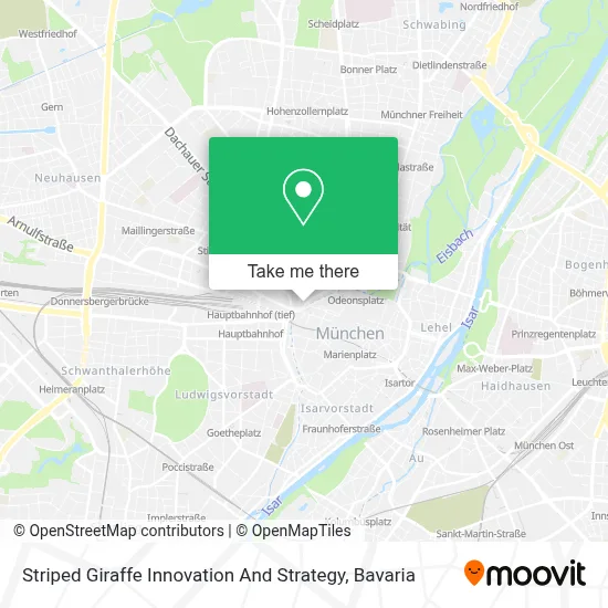 Striped Giraffe Innovation And Strategy map