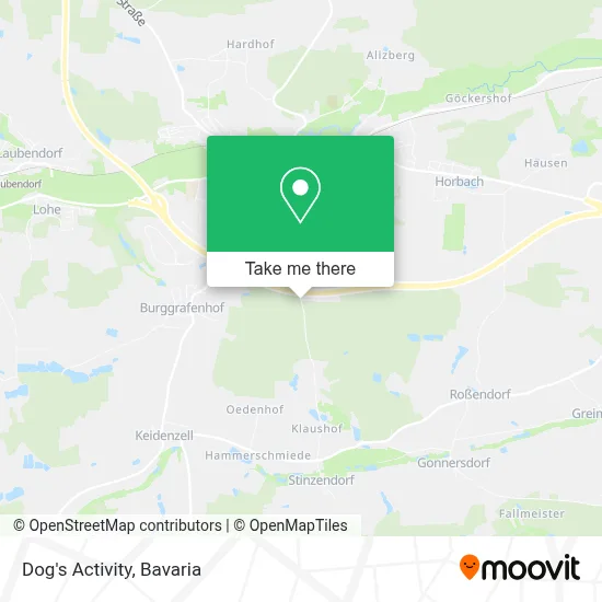 Dog's Activity map
