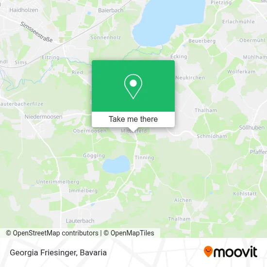 Georgia Friesinger map