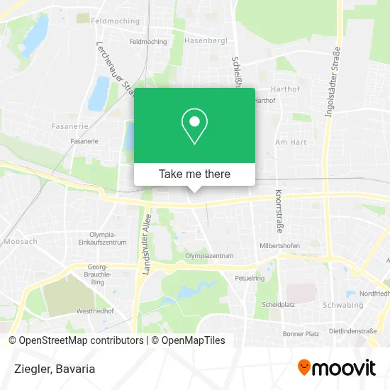 Ziegler map