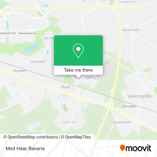 Msd Haar map