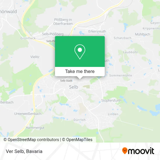 Ver Selb map