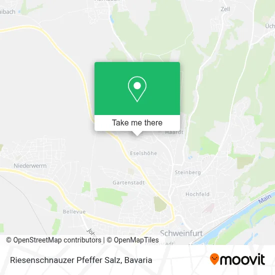 Riesenschnauzer Pfeffer Salz map