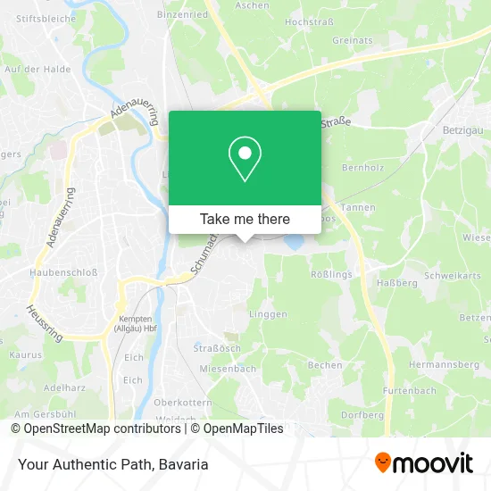 Your Authentic Path map