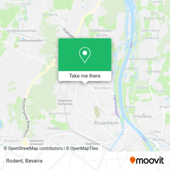 Rodent map