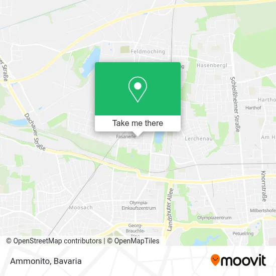 Ammonito map