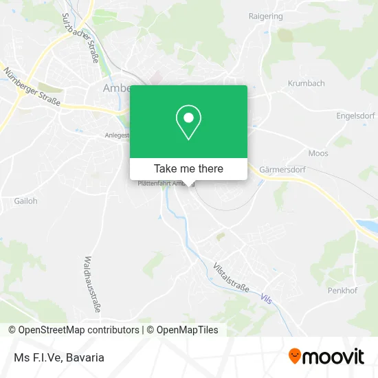 Ms F.I.Ve map