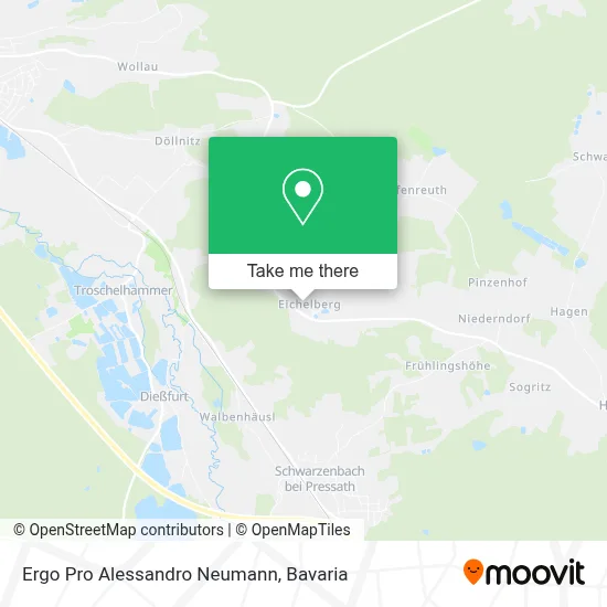 Ergo Pro Alessandro Neumann map