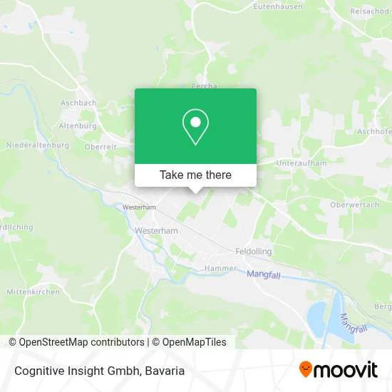 Cognitive Insight Gmbh map