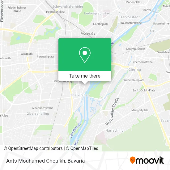 Ants Mouhamed Chouikh map