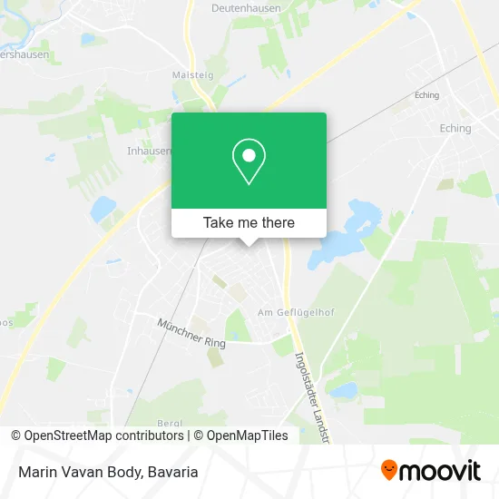 Marin Vavan Body map