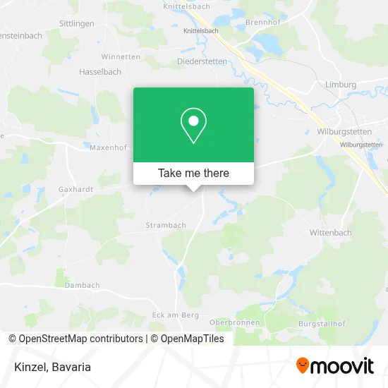 Kinzel map