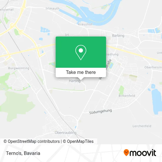 Terno's map