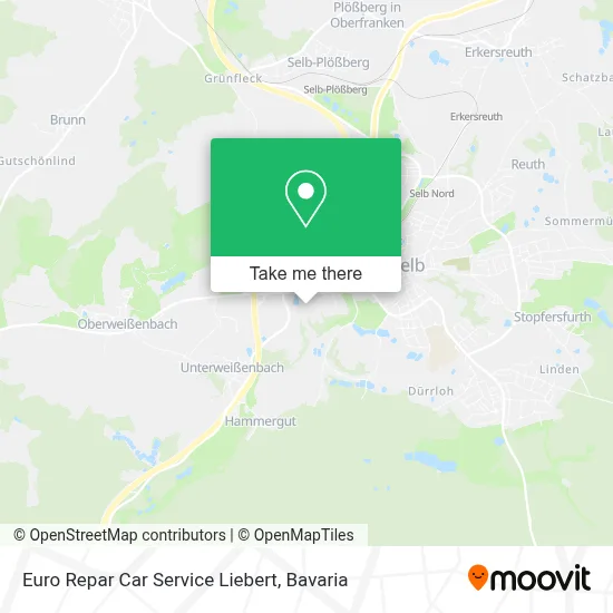 Euro Repar Car Service Liebert map