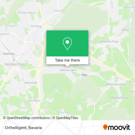 Orthelligent map