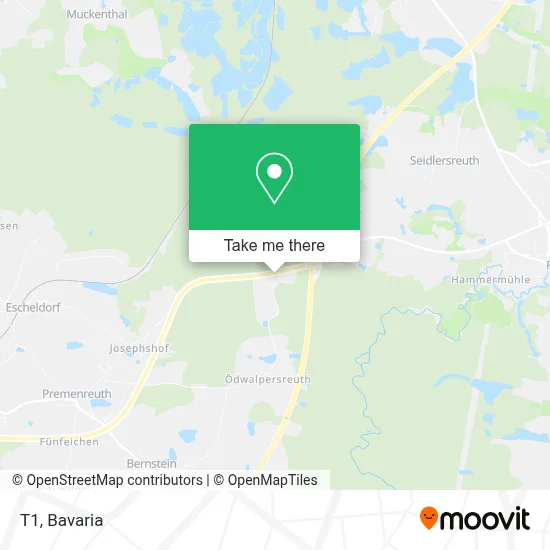T1 map