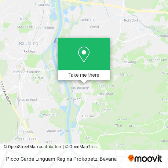 Picco Carpe Linguam Regina Prokopetz map