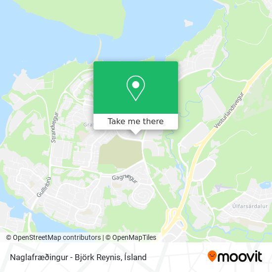 Mapa Naglafræðingur - Björk Reynis