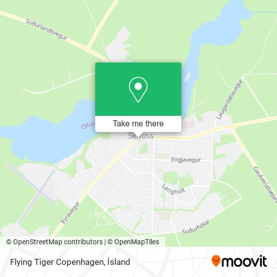 Mapa Flying Tiger Copenhagen