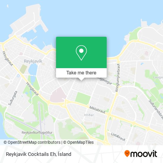 Mapa Reykjavik Cocktails Eh