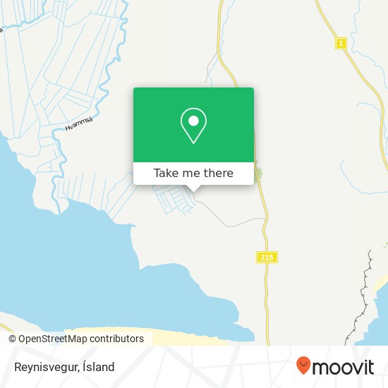 Reynisvegur map