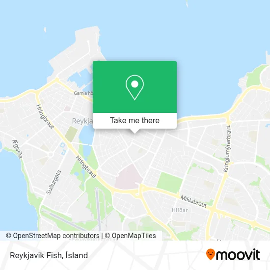 Reykjavik Fish map