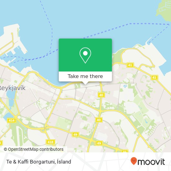 Mapa Te & Kaffi Borgartuni