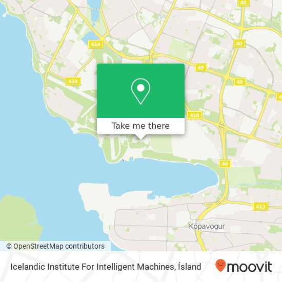 Mapa Icelandic Institute For Intelligent Machines