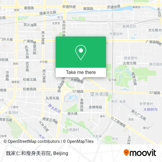 魏家仁和瘦身美容院 map