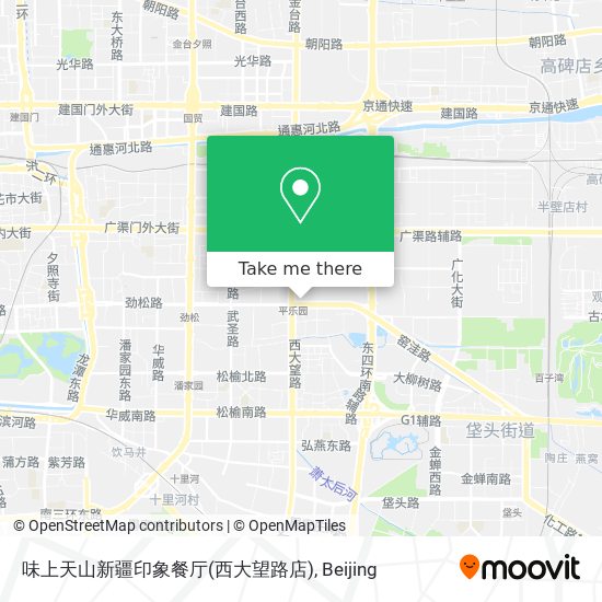 味上天山新疆印象餐厅(西大望路店) map