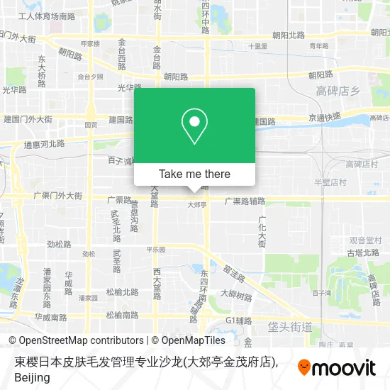 東樱日本皮肤毛发管理专业沙龙(大郊亭金茂府店) map