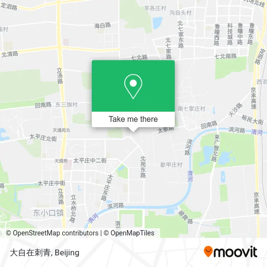 大自在刺青 map
