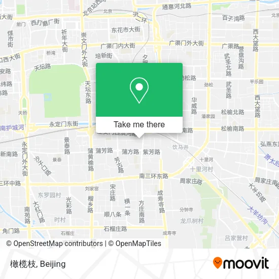 橄榄枝 map