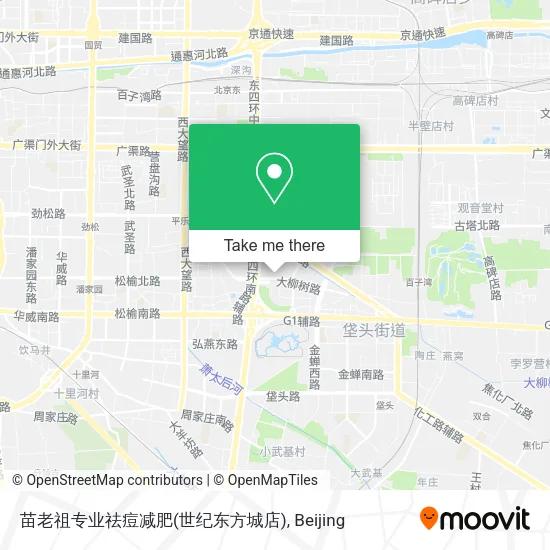 苗老祖专业祛痘减肥(世纪东方城店) map