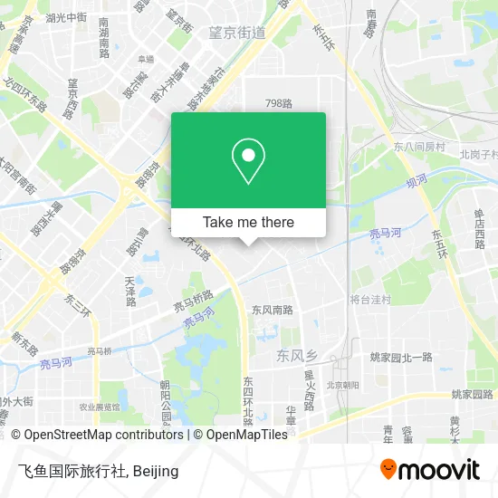 飞鱼国际旅行社 map