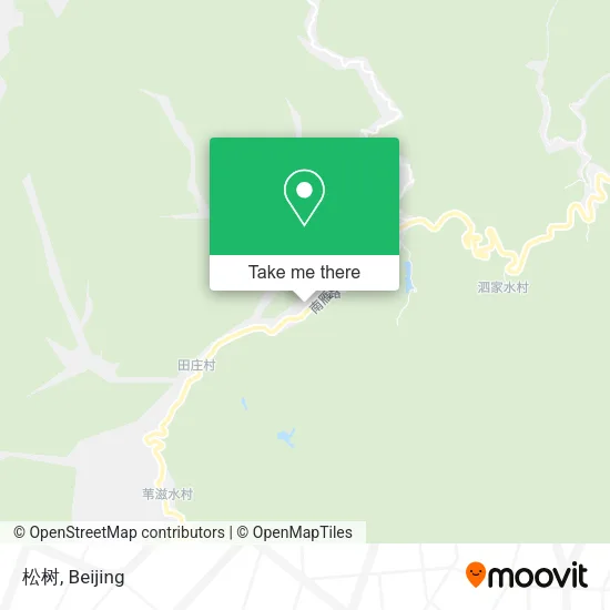 松树 map