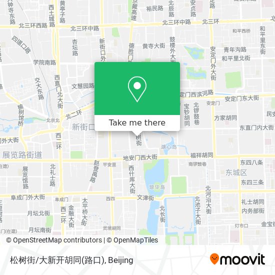 松树街/大新开胡同(路口) map