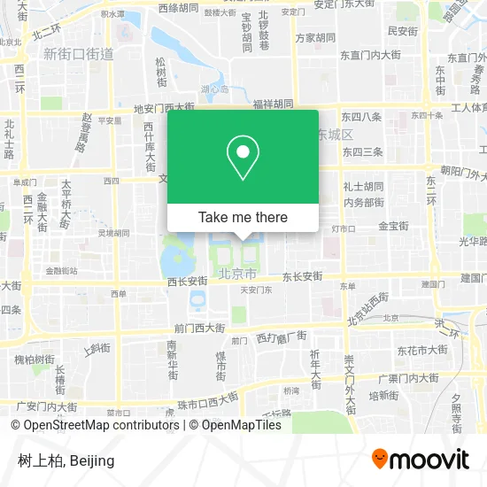 树上柏 map