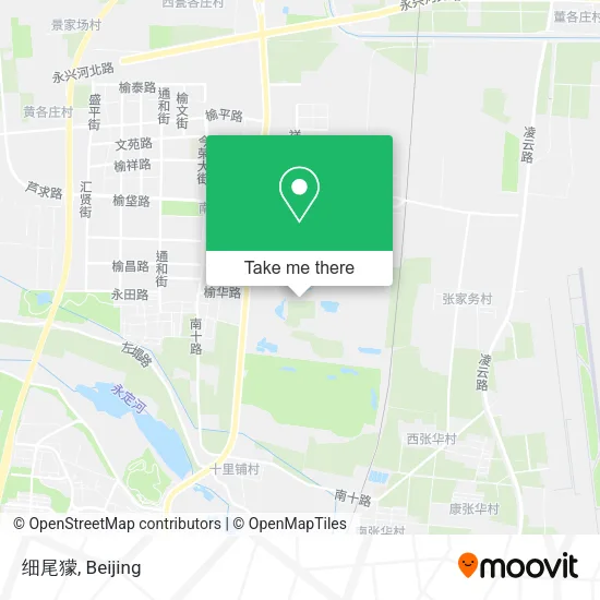细尾獴 map