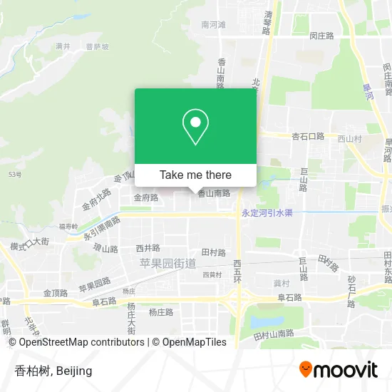 香柏树 map