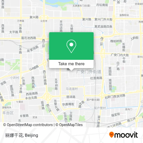 丽娜干花 map