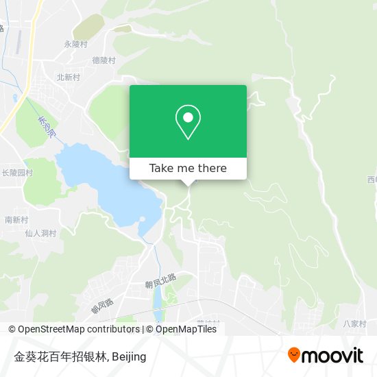 金葵花百年招银林 map