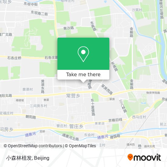 小森林植发 map
