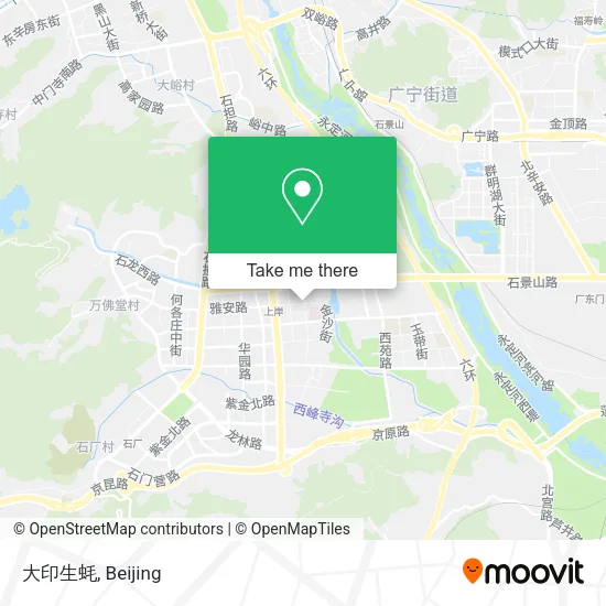 大印生蚝 map