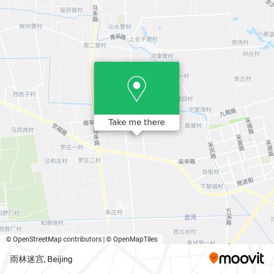 雨林迷宫 map