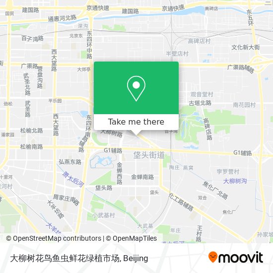 大柳树花鸟鱼虫鲜花绿植市场 map