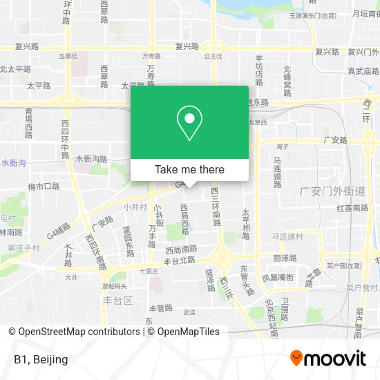 B1 map